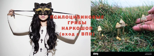 винт Лихославль
