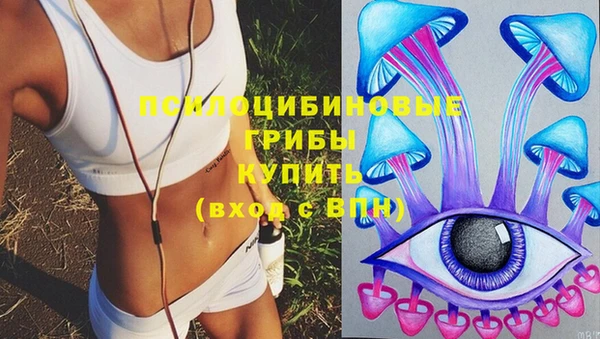 дмт Лиски