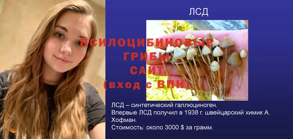 скорость Липки