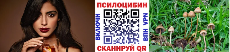 Галлюциногенные грибы мицелий  Купить где  Химки 